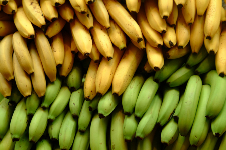 Banana-Bioplastic