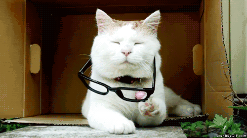Funny-gif-cat-taking-off-glasses