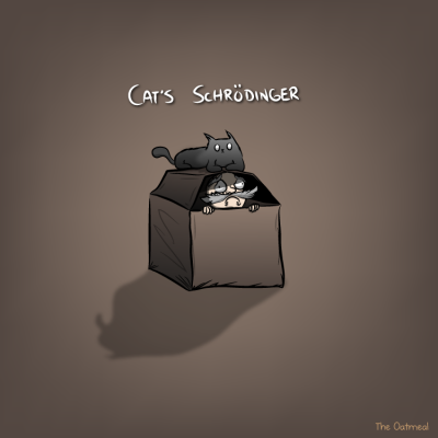 cats_schrodinger