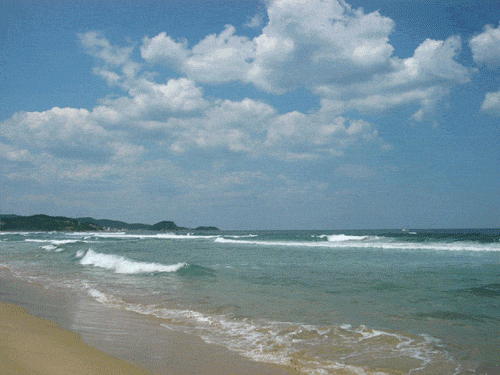 ani waves on beach