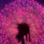 10 nyugtató gif újévi másnapozásra