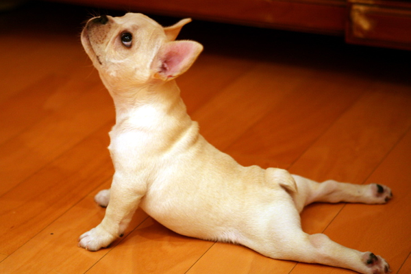 10 biztos jel, hogy most vagy először jógaórán