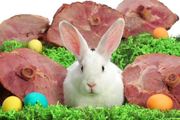 10 húsvéti dolog, amiből keddre túladagolásod lesz