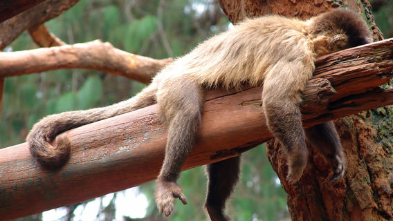 10 jel, amiből tudhatod, hogy a halogatás nagymestere vagy