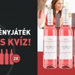 10 dolog, ami csak a budapesti bulinegyedben eshet meg