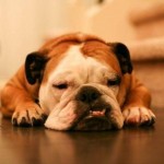 10 tipikus gondolat a hosszú hétvége végén