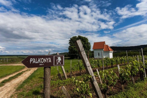 10 húsvéti program a tojásoktól a fejen pörgésig