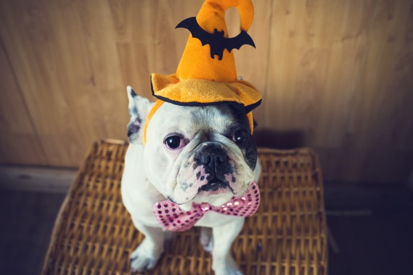 10 tipp az igazi halloweeni hangulathoz